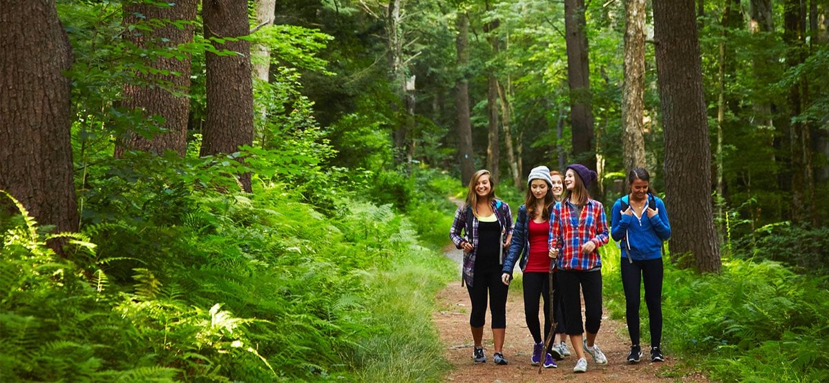 Foliage - Rewilding Kids Program