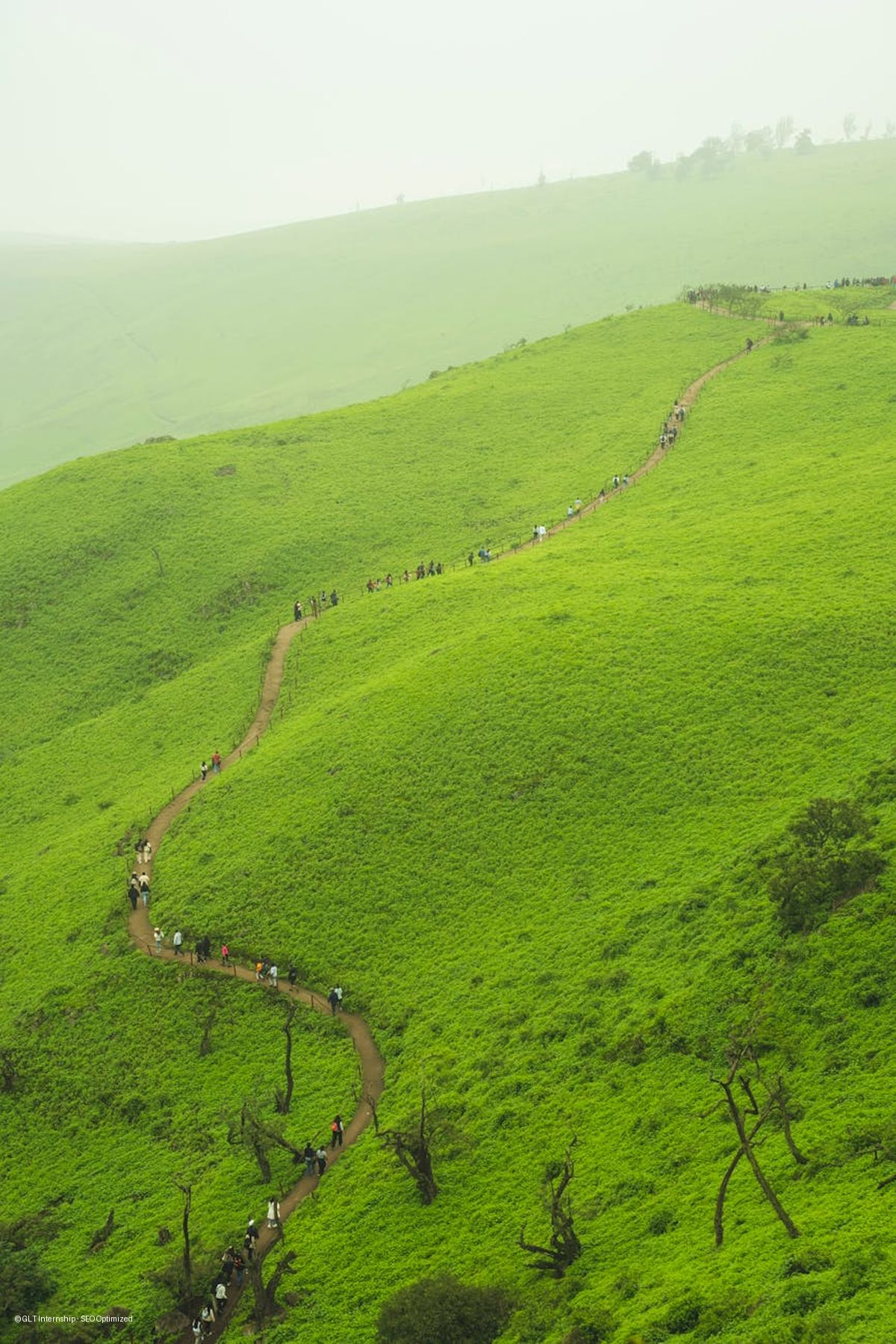 Explorers Group - Monsoon Trek Camp, Lonavala