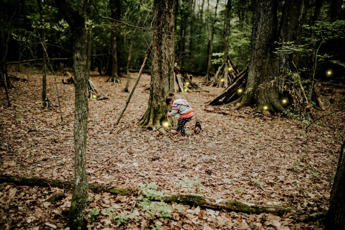 Foliage - Night Nature Exploration Camp