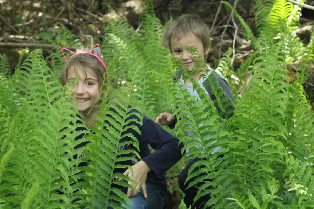 Explorers - Junior Naturalist Program