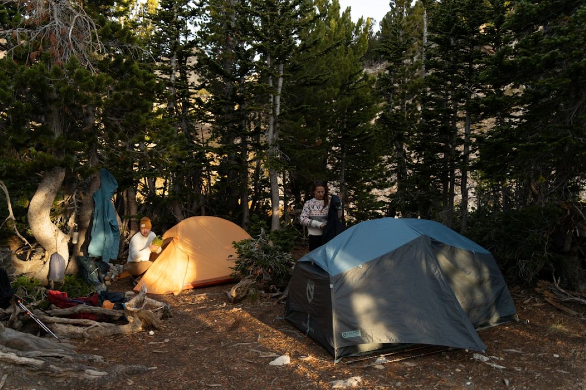 MCF Camp -Day Ultimate Adventure Program