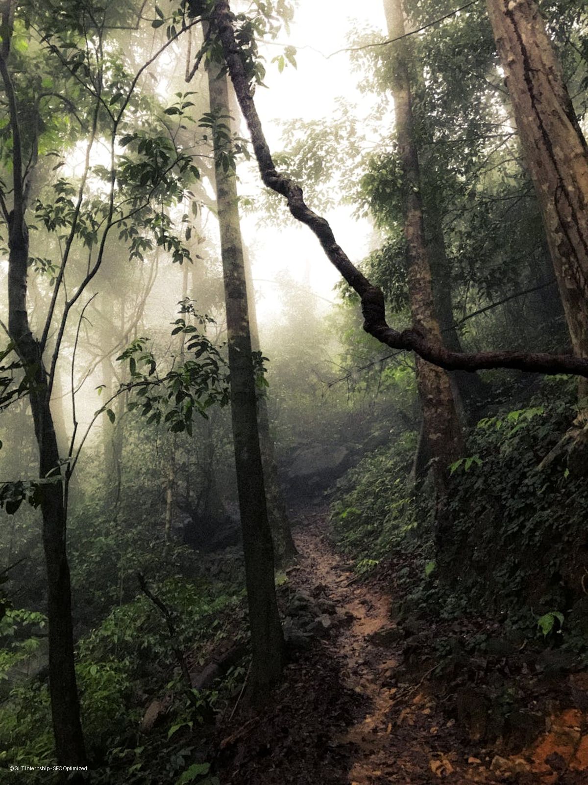 Explorers Group - Rajmachi Jungle Kids Camp, Lonavala