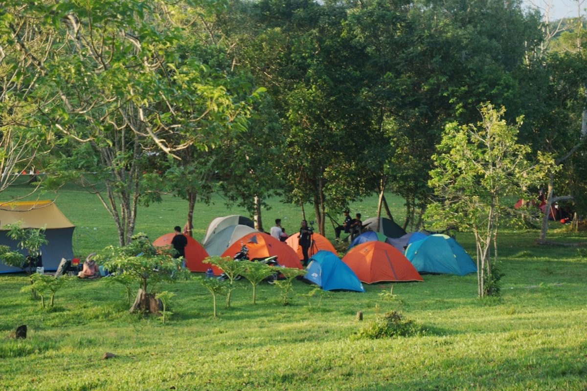 Foliage - Monsoon Nature Immersion Camp