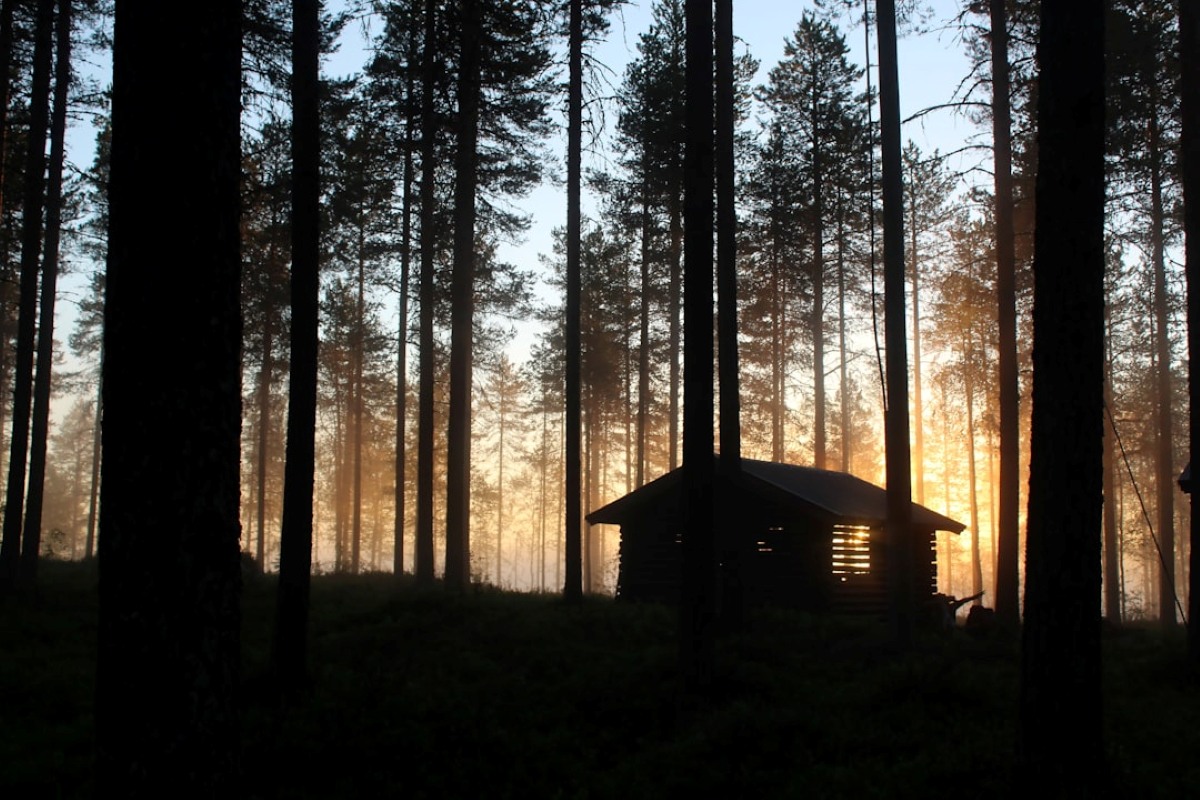 Nature Knights - Morning Wilderness Camp