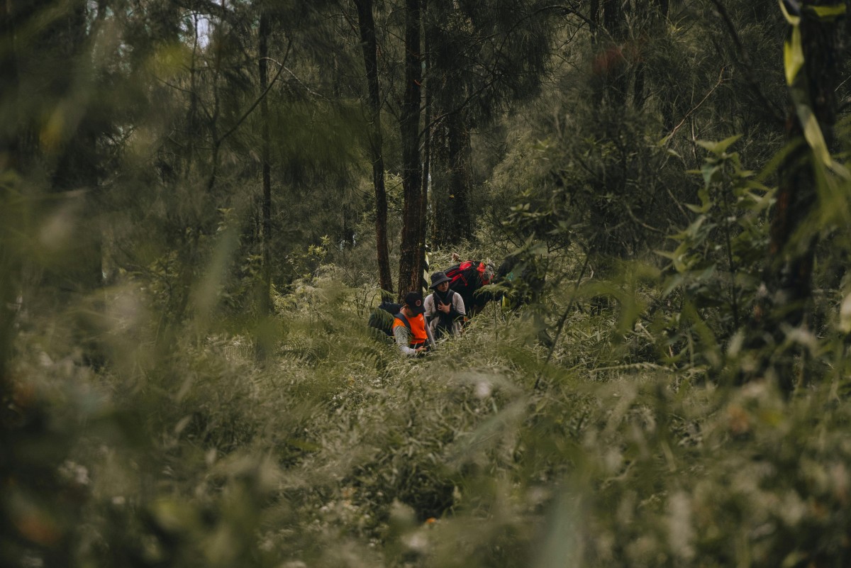 Treks and Trails - Monsoon Adventure Special