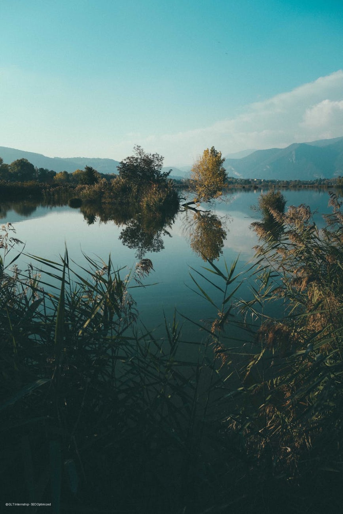 Book My Adventures - Pawna Lake Kids Camping, Lonavala