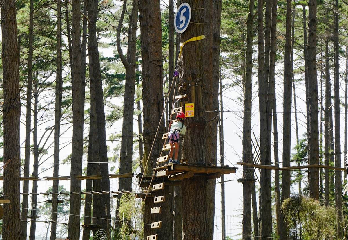 Corporate Event Image