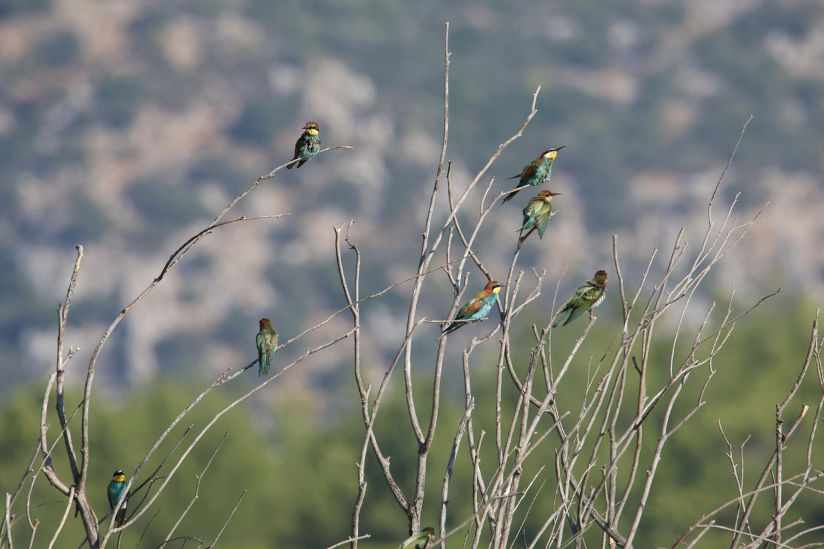 Corporate Event Image