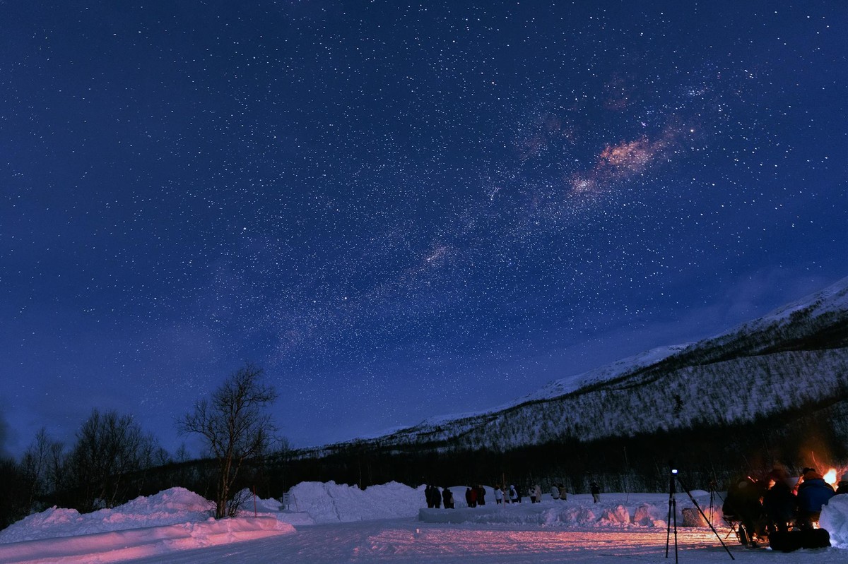 Let's Camp Out - Corporate Bonfire & Stargazing Night