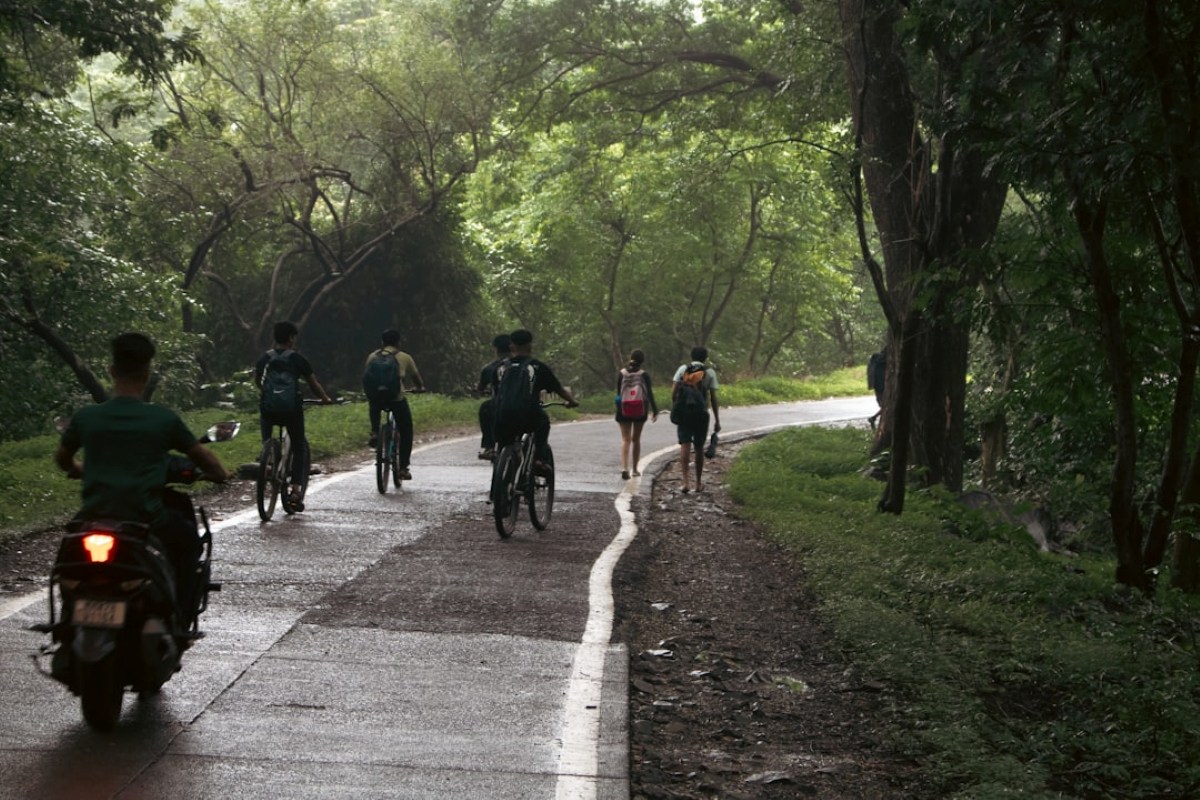 Book My Adventures - Corporate Cycling & Camping