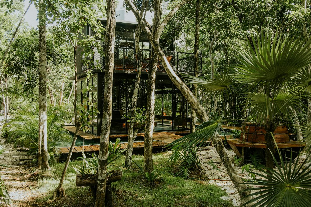 Foliage Outdoors - Corporate Eco-Learning Retreat