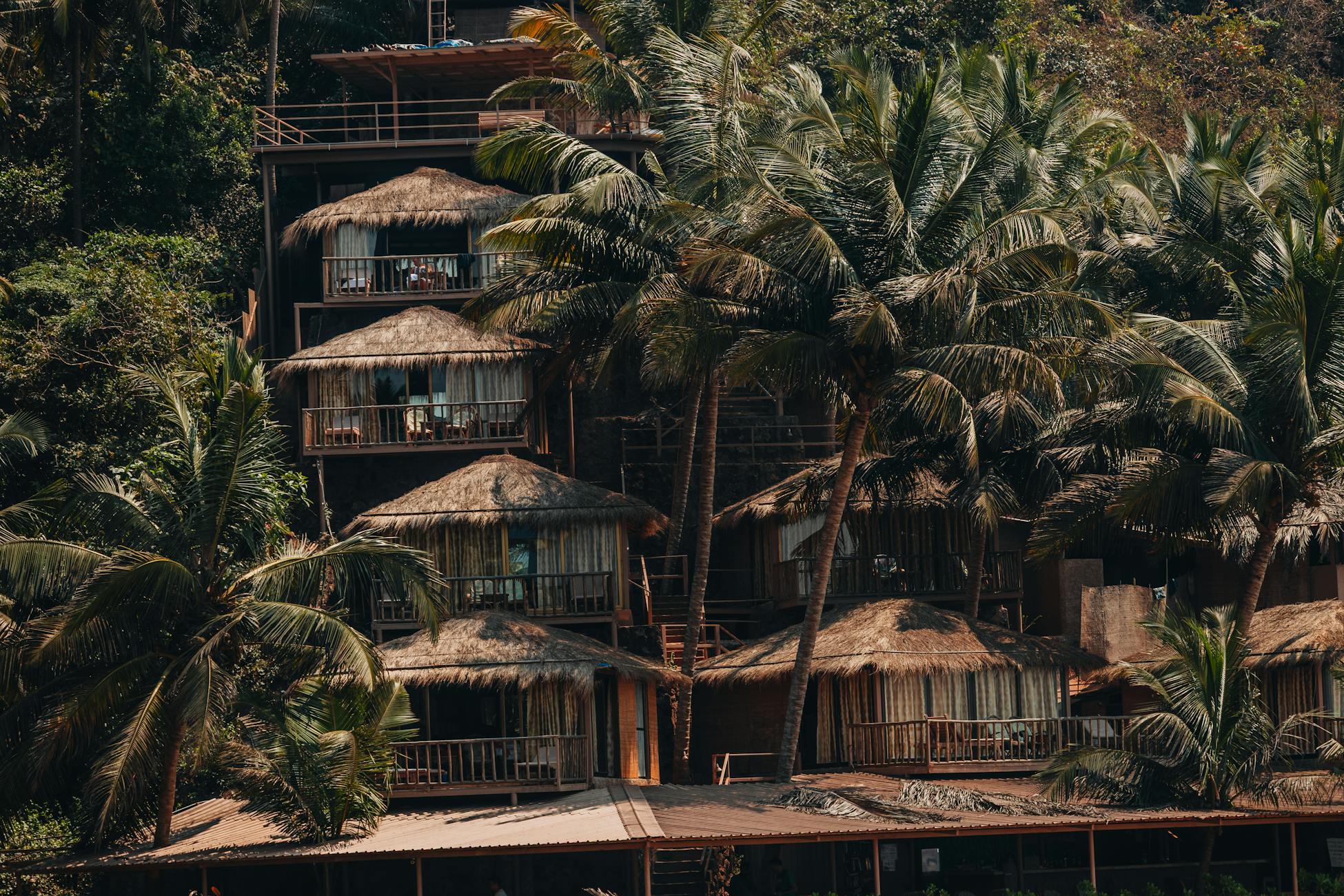 4 Day Jungle & Beach Ashtanga Yoga Retreat in Agonda, Goa, India