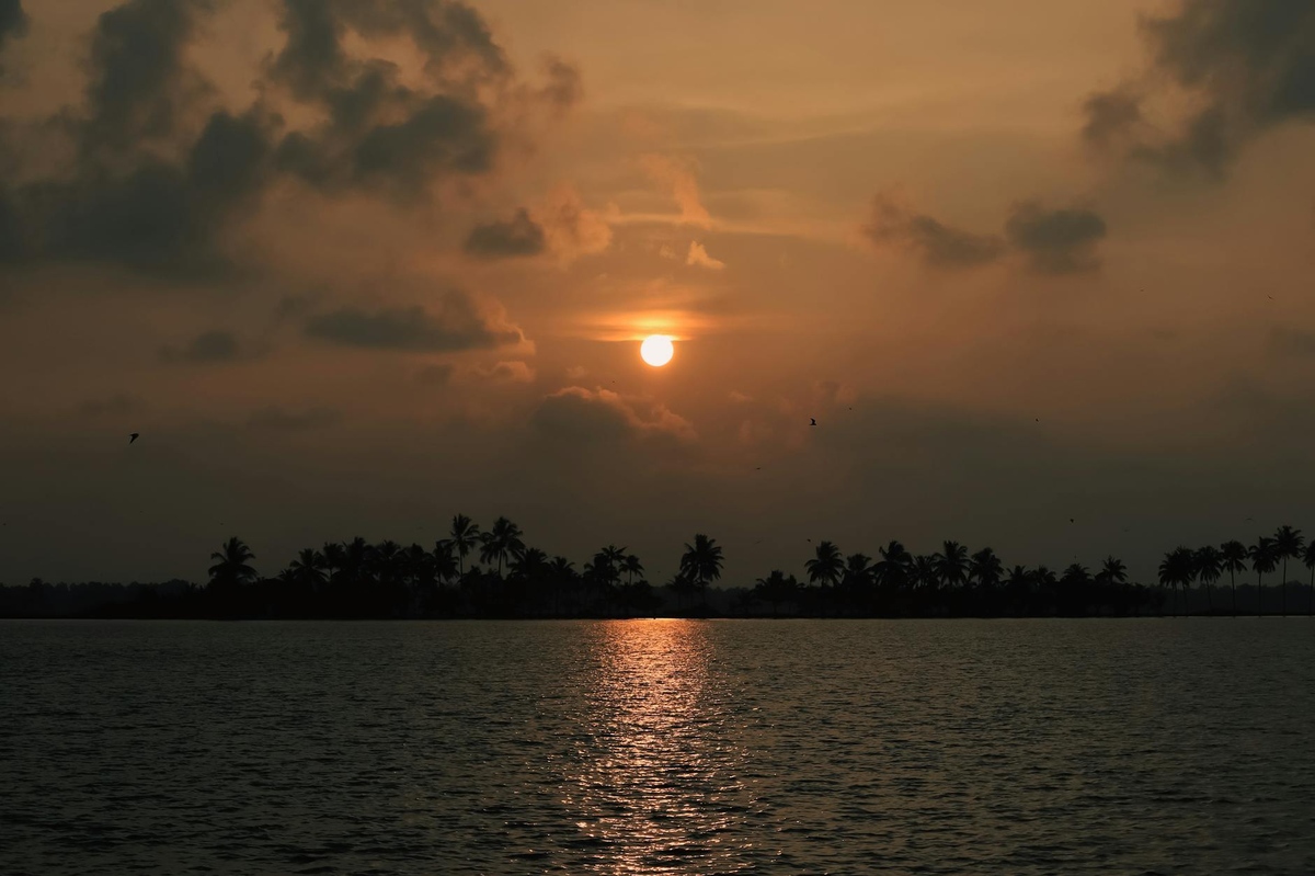 4 Day Ayurveda, Yoga & Meditation: Unwind, Renew & Energize