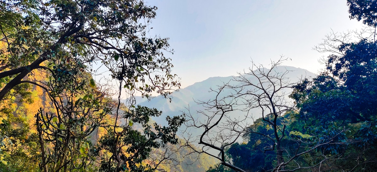 4 Day Refreshing Waterfall, Hiking & Yoga Retreat in Rishikesh