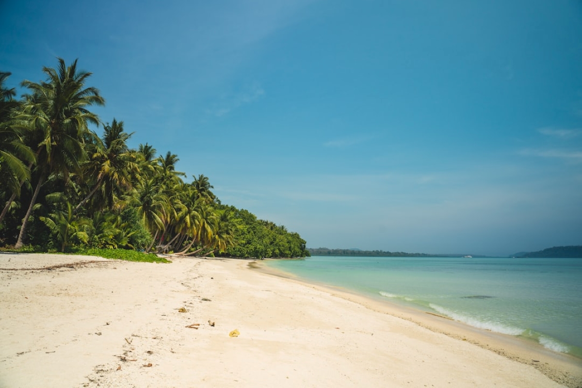Kesari Second Innings - Andaman Senior Island Tour