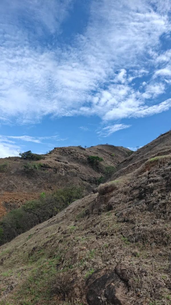 dukes nose