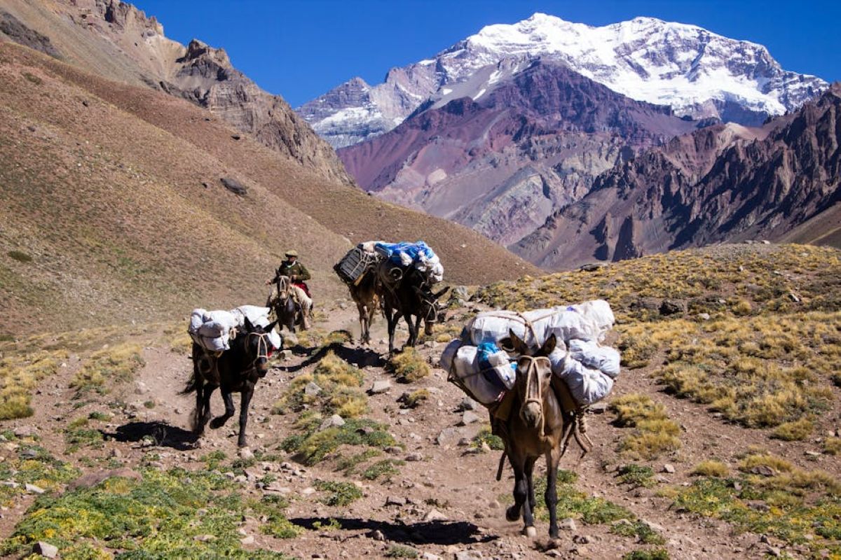 Trek Package Image